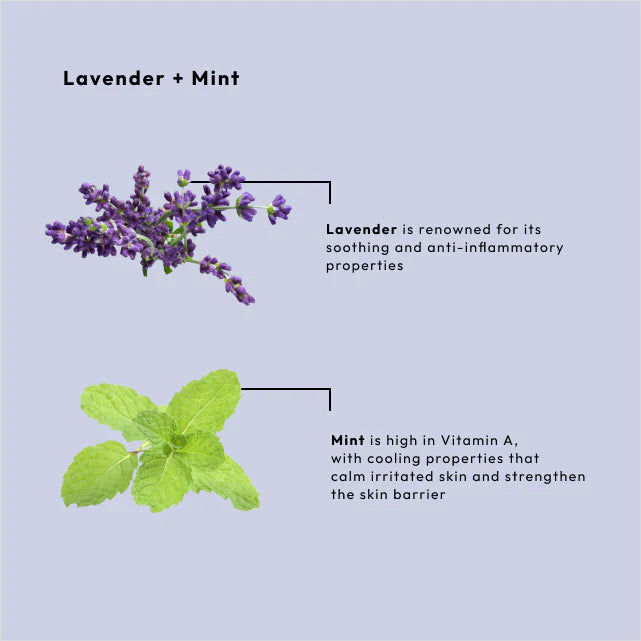 BCL -  Calming Lavender + Mint 4-in-1 Packet Box Set